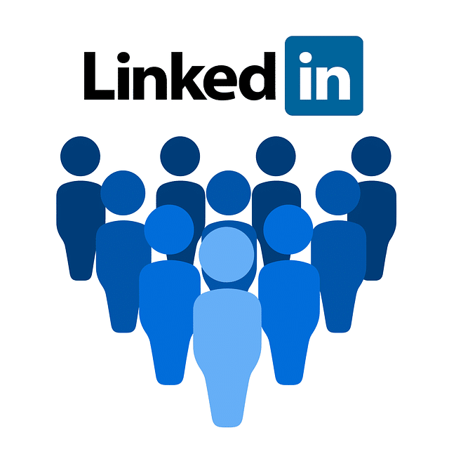 How to use LinkedIn Professionally?